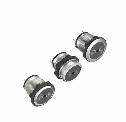 S22 Vandal resistant Buzzer Buzzer, Illuminated Buzzer